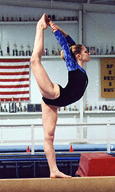 ggy.gif (39470 bytes)
