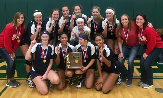 Indian Valley Volleyball - Division II East District Champions